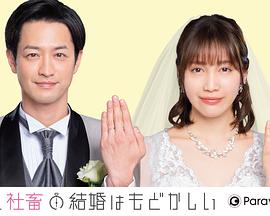 部長和社畜的結(jié)婚令人著急 特別篇(全集)